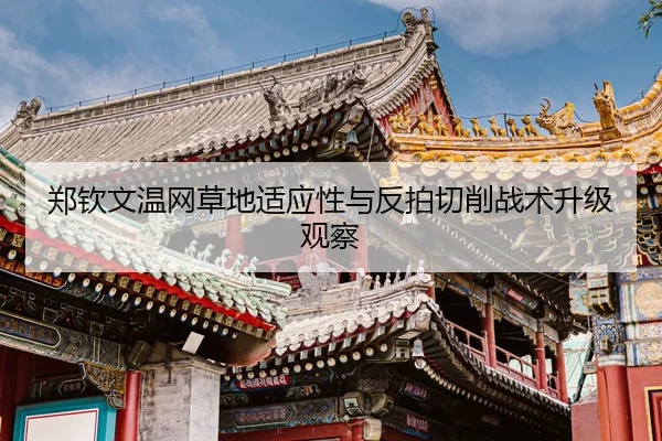 zheng-qin-wen-wen-wang-cao-di-shi-ying-xing-yu-fan-pai-qie-xiao-zhan-shu-sheng-ji-guan-cha-3-782.jpg