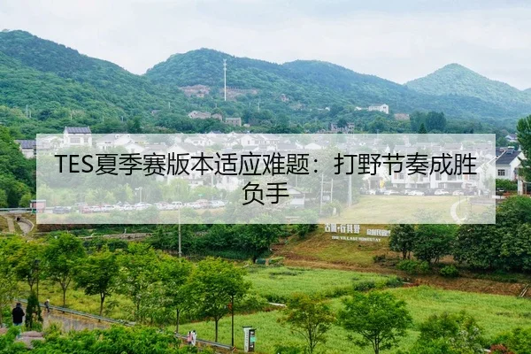 TES夏季赛版本适应难题：打野节奏成胜负手