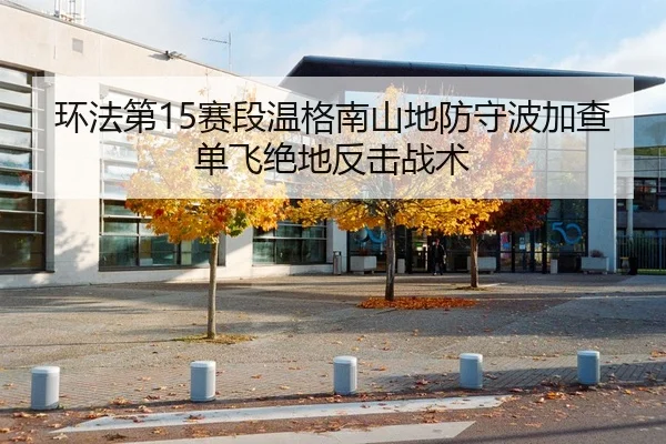 环法第15赛段温格南山地防守波加查单飞绝地反击战术