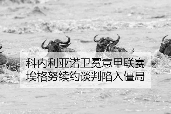 ke-nei-li-ya-nuo-wei-mian-yi-jia-lian-sai-ai-ge-nu-xu-yue-tan-pan-xian-ru-jiang-ju-2-596.jpg