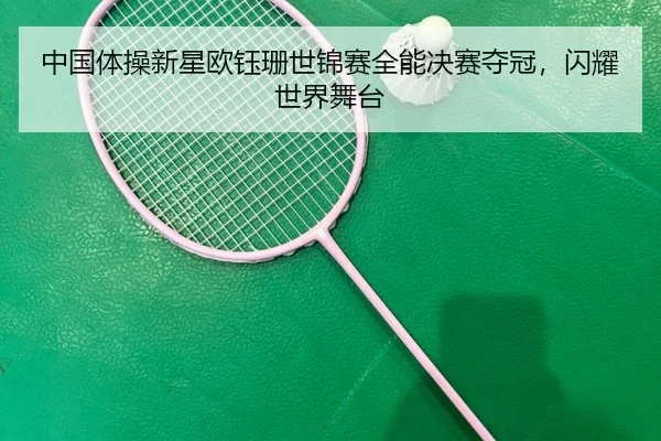 zhong-guo-ti-cao-xin-xing-ou-yu-shan-shi-jin-sai-quan-neng-jue-sai-duo-guan-shan-yao-shi-jie-wu-tai-2-619.jpg