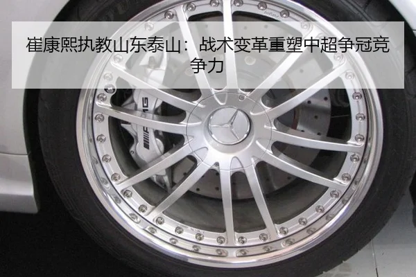 cui-kang-xi-zhi-jiao-shan-dong-tai-shan-zhan-shu-bian-ge-zhong-su-zhong-chao-zheng-guan-jing-zheng-li-3-411.jpg